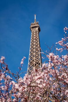 eiffeltower in paris landmark in front of blue sky in spring architecture view