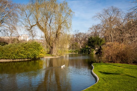 Green park with cypresses,plants and reeds in summer