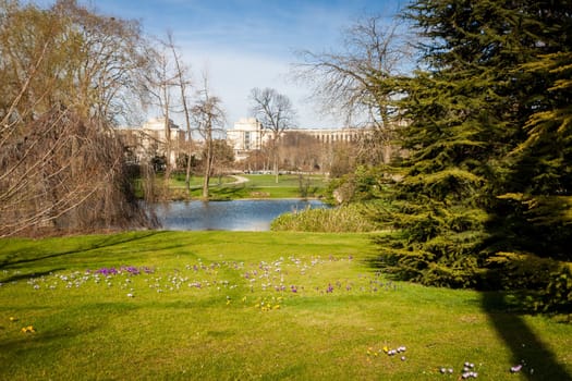 Green park with cypresses,plants and reeds in summer