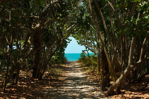 beach rise,passageway,dune,beach,sea,ocean,Atlantic,access,golf,Florida,America,USA,Bonita Springs,Fort Myers,beach,stairs,wooden bridge,path,jetty,run,transition,bathing holiday,blue,sky,boards,wood path,horizont,coast,coastal