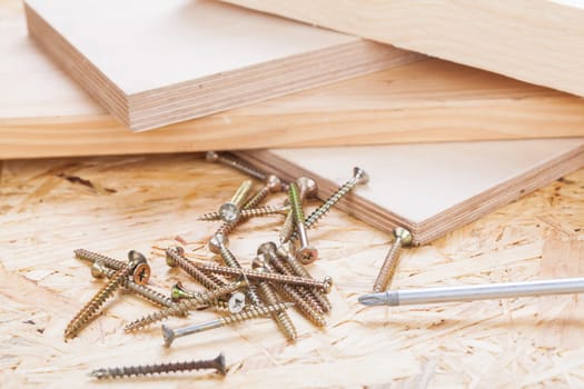 Close-up of a cross screwdriver with screws in wood while DIY in a workshop