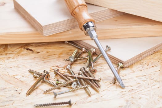 Close-up of a cross screwdriver with screws in wood while DIY in a workshop