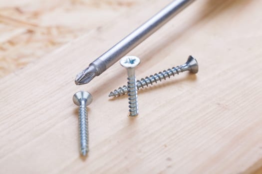 Close-up of a cross screwdriver with screws in wood while DIY in a workshop