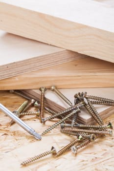 Close-up of a cross screwdriver with screws in wood while DIY in a workshop