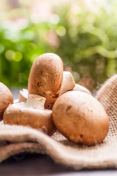 Fresh braund champignons in sunlight on a wooden table in daylight