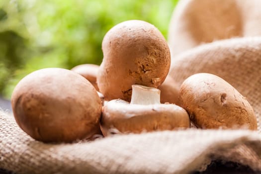 Fresh braund champignons in sunlight on a wooden table in daylight