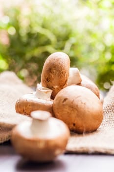 Fresh braund champignons in sunlight on a wooden table in daylight