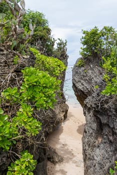 Beautiful secluded sandy beach in the Caribbean with white sand and blue sky as in paradise