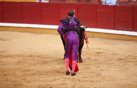 Dead third. Moment when the bullfighter kills a bull with the sword