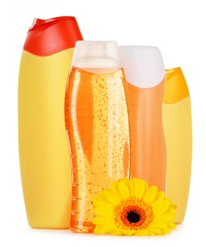 Composition with plastic bottles of body care and beauty products