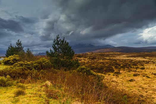 Scotland