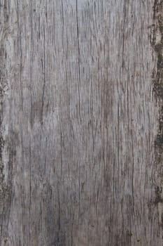 close up Old wood texture grunge background
