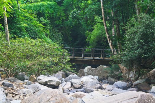 wooden bridge over the stream in the forest