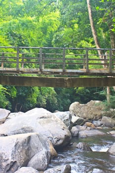 wooden bridge over the stream in the forest