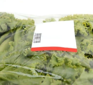 iceberg lettuce in plastic bag package with price tag