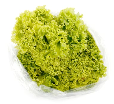 iceberg lettuce in plastic bag package with price tag