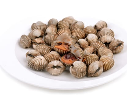 blood cockle cooked on a white dish