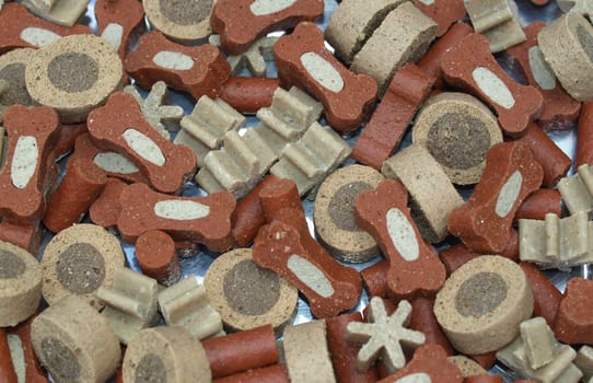 Dry food for dogs