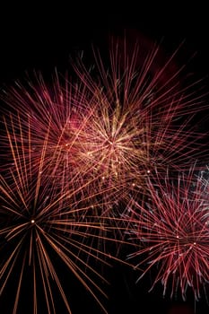 Magnificent colorful fireworks display