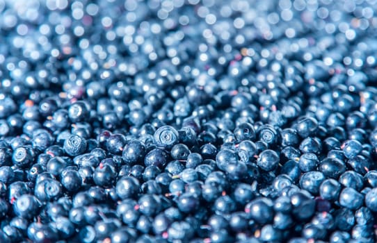 Wild blueberries with selected focus and bokeh
