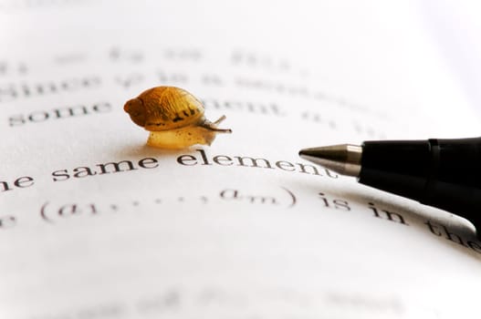 A small snail moving over book chapter