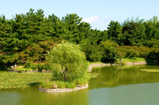 Garden with trees and pond