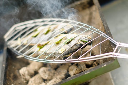 A fresh dorade with herbs is located on a fish holder (fish griller) on the grill.