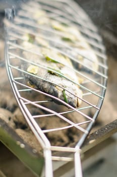 A fresh dorade with herbs is located on a fish holder (fish griller) on the grill.