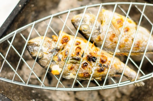 A fresh dorade with herbs is located on a fish holder (fish griller) on the grill.