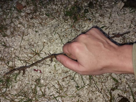 Cutting through a the barbed wire fence
