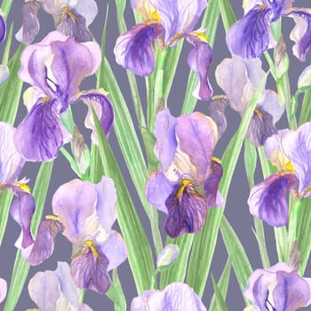 seamless pattern of iris flowers painted in watercolor