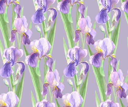 seamless pattern of iris flowers painted in watercolor with green leaves and purple flowers in a realistic style
