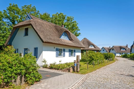 thatched-roof house settlements with trees, cobbled stone street aside