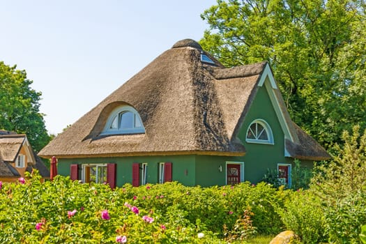 green painted thatched-roof house with garden