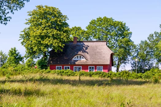 thatched-roof house with trees on a green meadow
