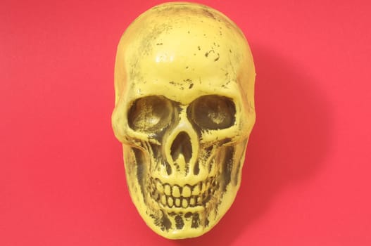 An Ancient Yellow Skull on a Colored Background