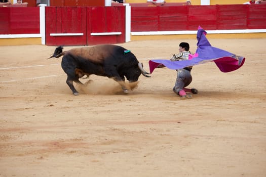 BADAJOZ, SPAIN, JUNE 21
