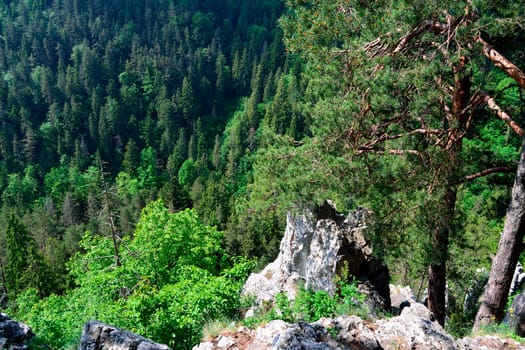 Outlook from cliff in Slovak Paradise