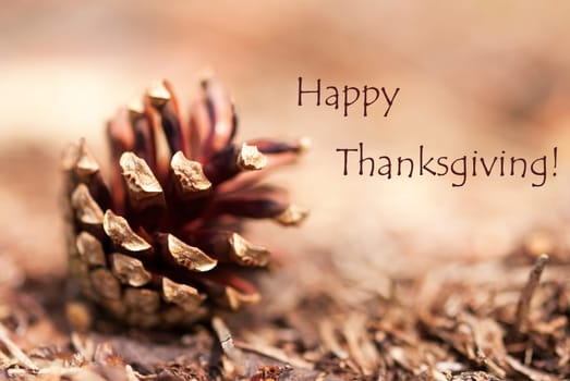 Fir Cone Closeup as Autumn Background with the Words Happy Thanksiving