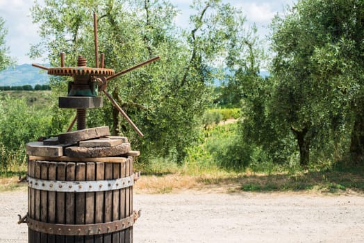 Vinatge olive press and olive trees on backgrund