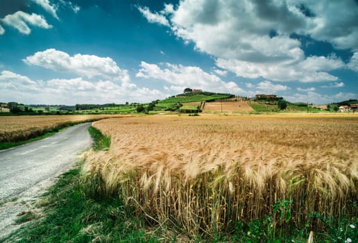Cereal crops and farm in Tuscany, Italy