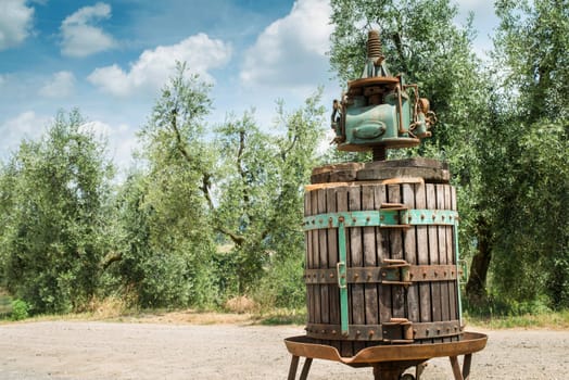 Vinatge olive press and olive trees on backgrund