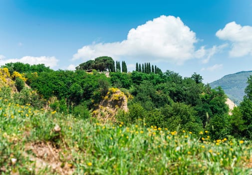 Tuscany landscape. Day light