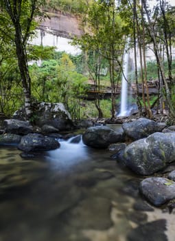 Deep forest waterfall