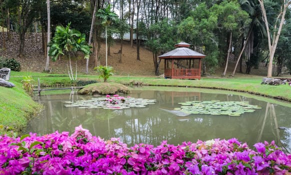 Asian garden decoration