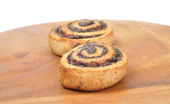 Poppy snails