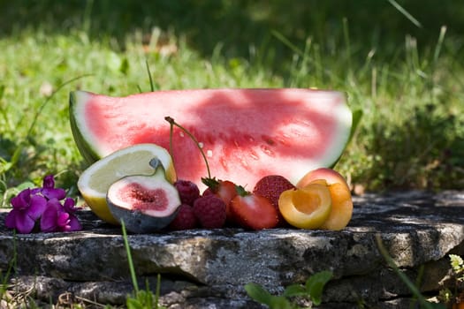 Summer fruits