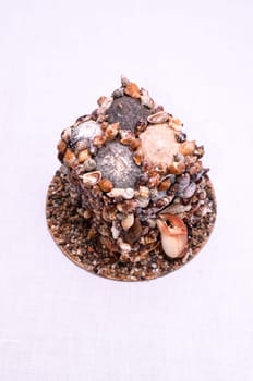 Seashell Decorations Handmade Mini House Made of Shells