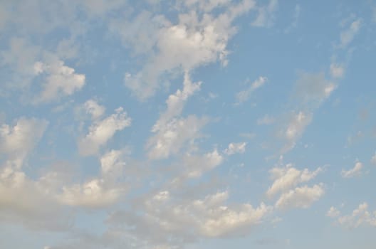 f782c724-94d6-4e55-84eb-911e516e59a0