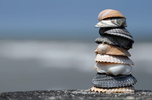 Shells